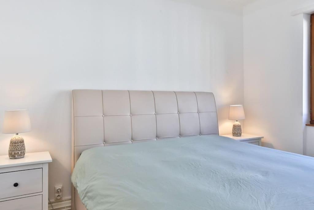 Suite Tres Moderne Et Cosy, Proche Centre-Ville, Mulhouse Centre Ngoại thất bức ảnh