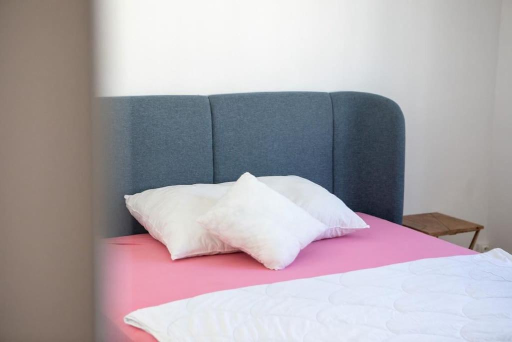 Suite Tres Moderne Et Cosy, Proche Centre-Ville, Mulhouse Centre Ngoại thất bức ảnh